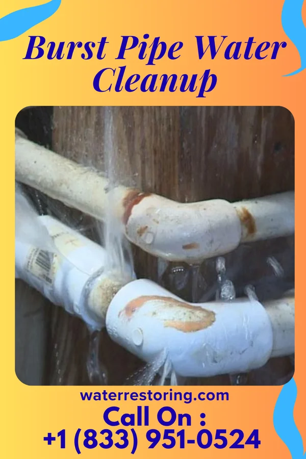 Burst Pipe Water Cleanup in Pope, MS