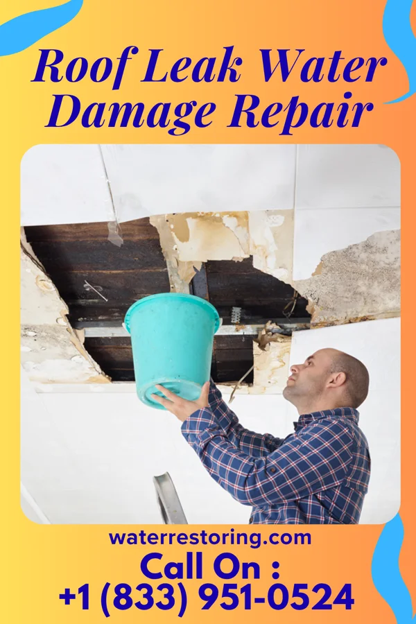 Roof Leak Water Damage Repair in Pope, MS
